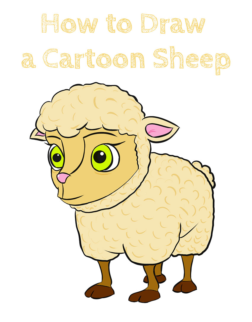 How to Draw a Cartoon Sheep Easy