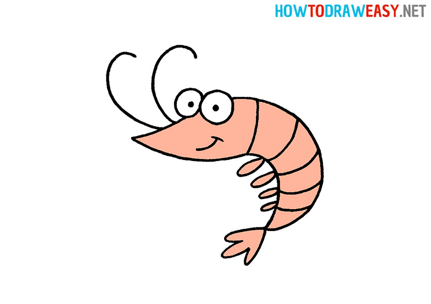 How to Draw a Cartoon Shrimp