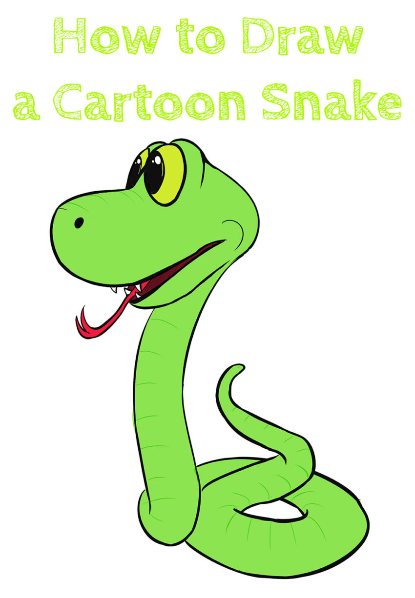 How to Draw a Cartoon Snake - How to Draw Easy