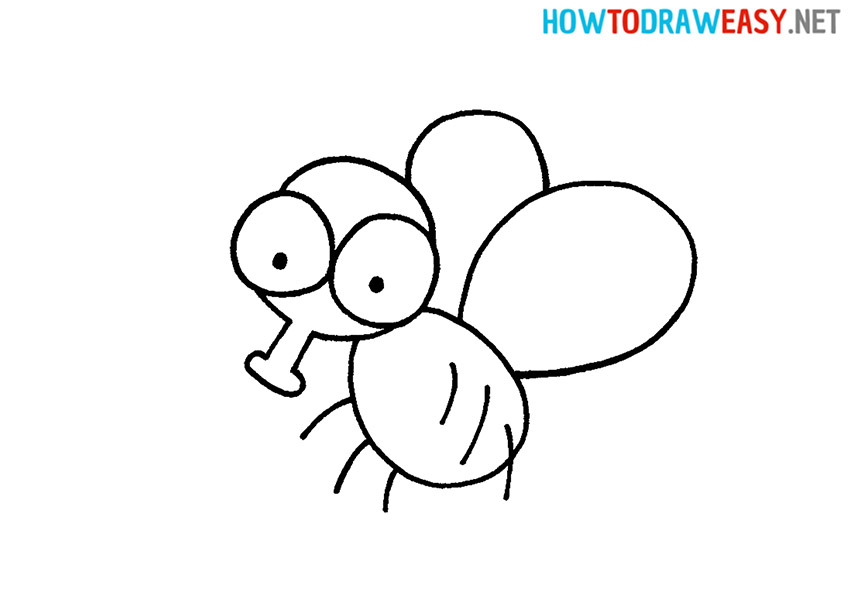 How to Draw a Easy Fly