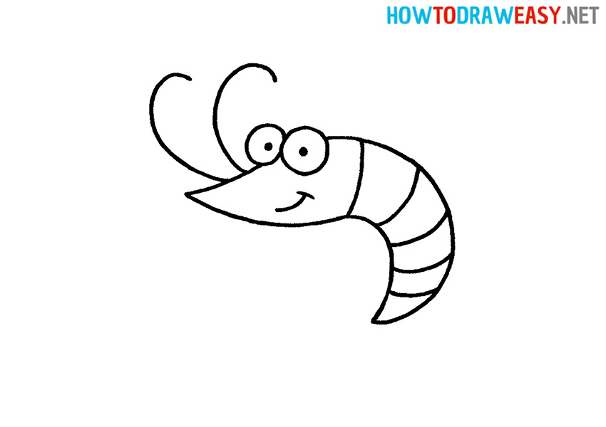 How to Draw a Easy Shrimp