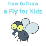 How to Draw a Fly for Kids