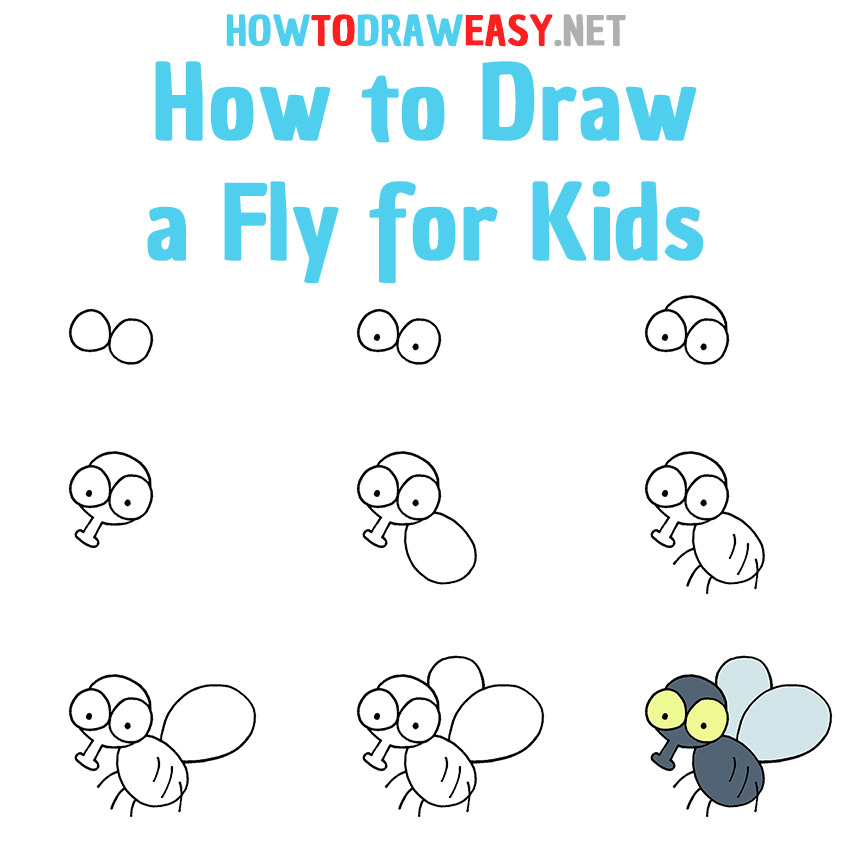 How to Draw a Fly Step by Step