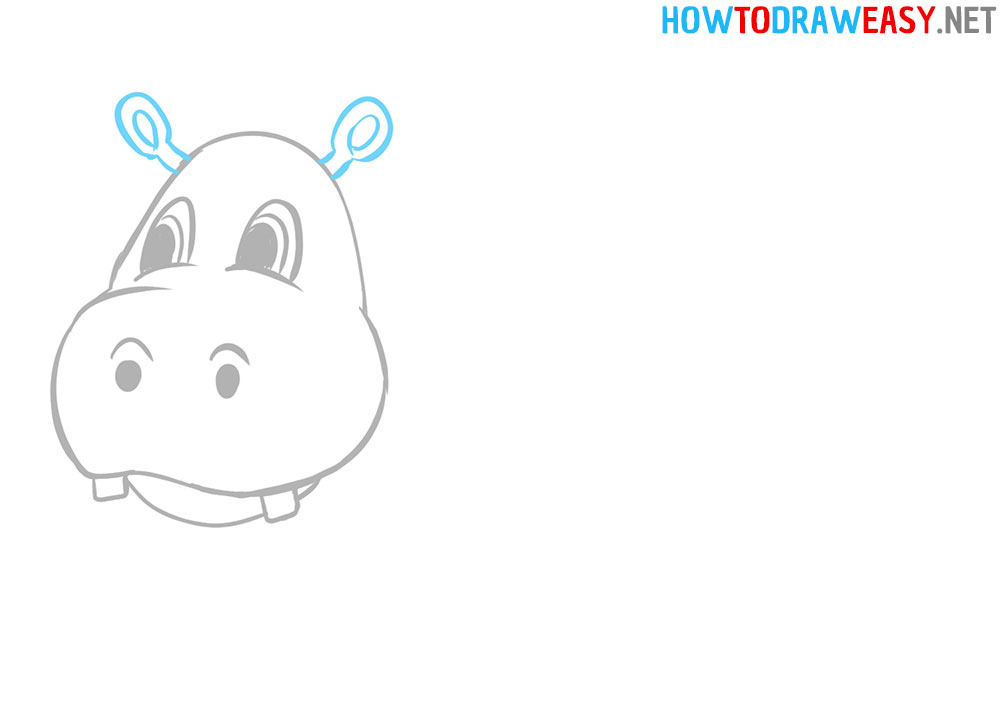 How to Draw a Hippopotamus Head