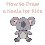 How to Draw a Koala for Kids