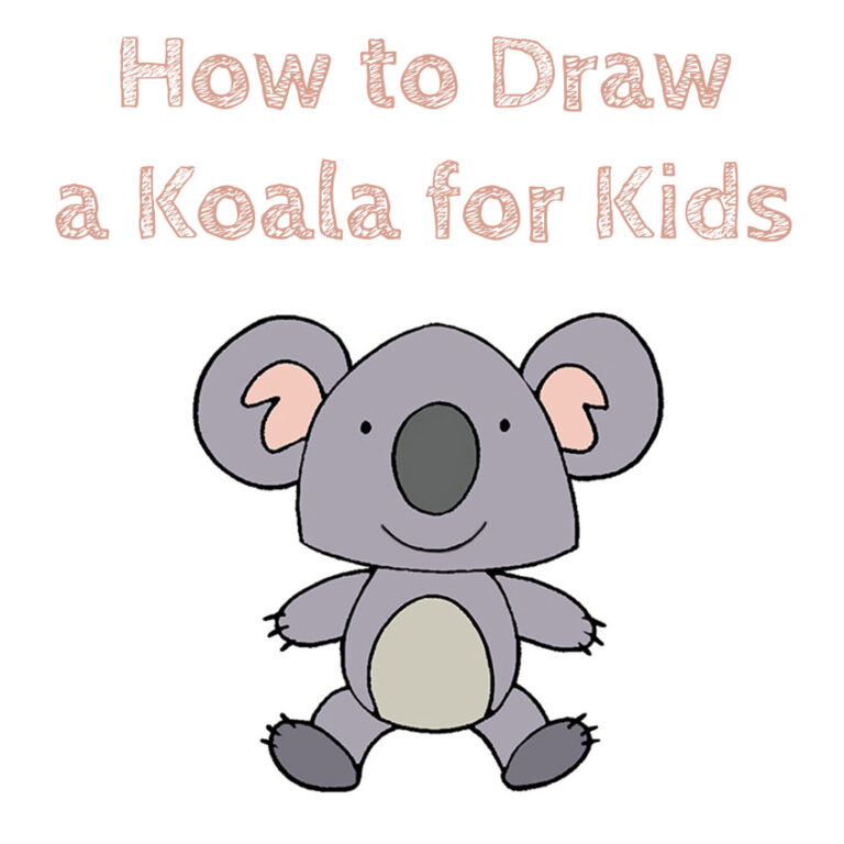 How to Draw a Koala for Kids - How to Draw Easy