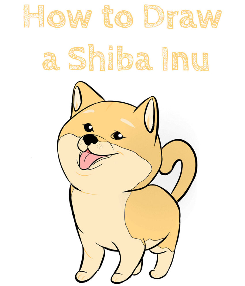How to Draw a Shiba Inu - How to Draw Easy