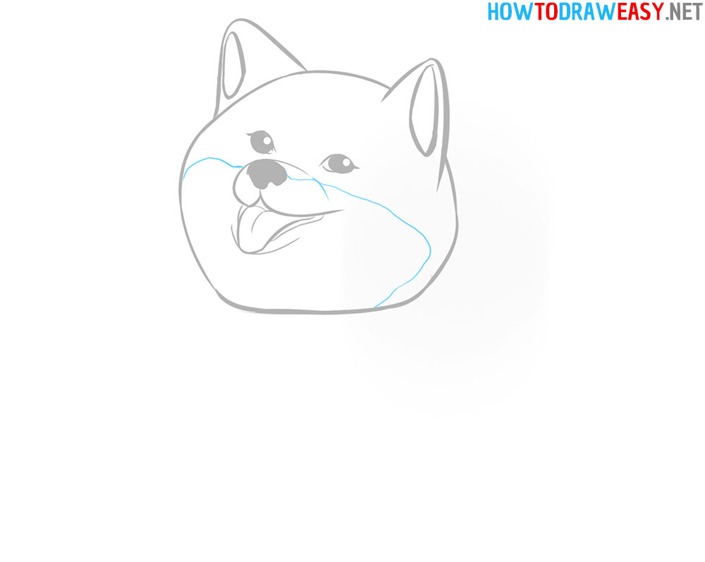 How to Draw a Shiba Inu Head