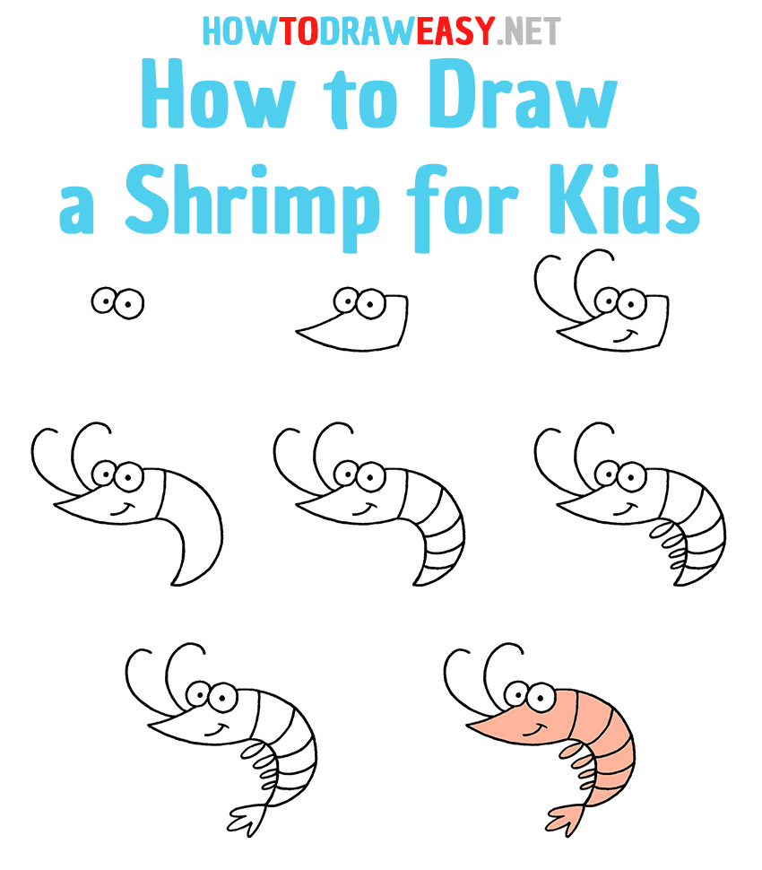 How to Draw a Shrimp Step by Step