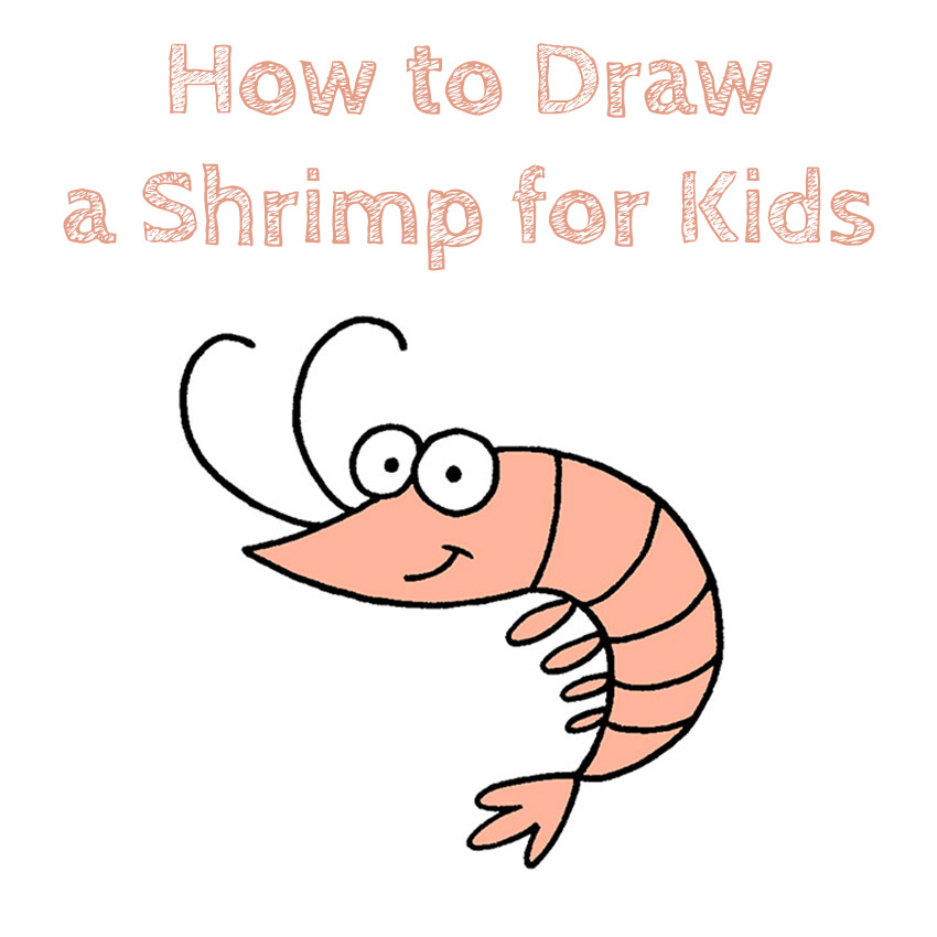 How to Draw a Shrimp for Kids