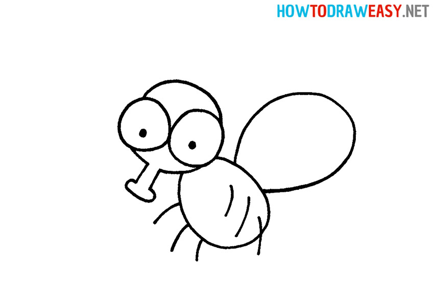How to Draw a Simple Fly