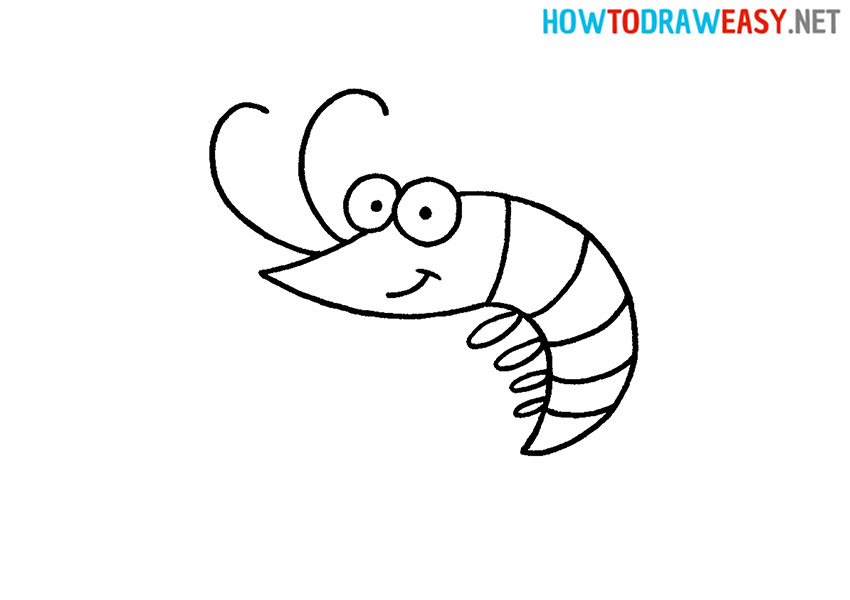How to Draw a Simple Shrimp