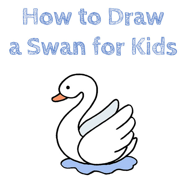 How to Draw a Swan for Kids