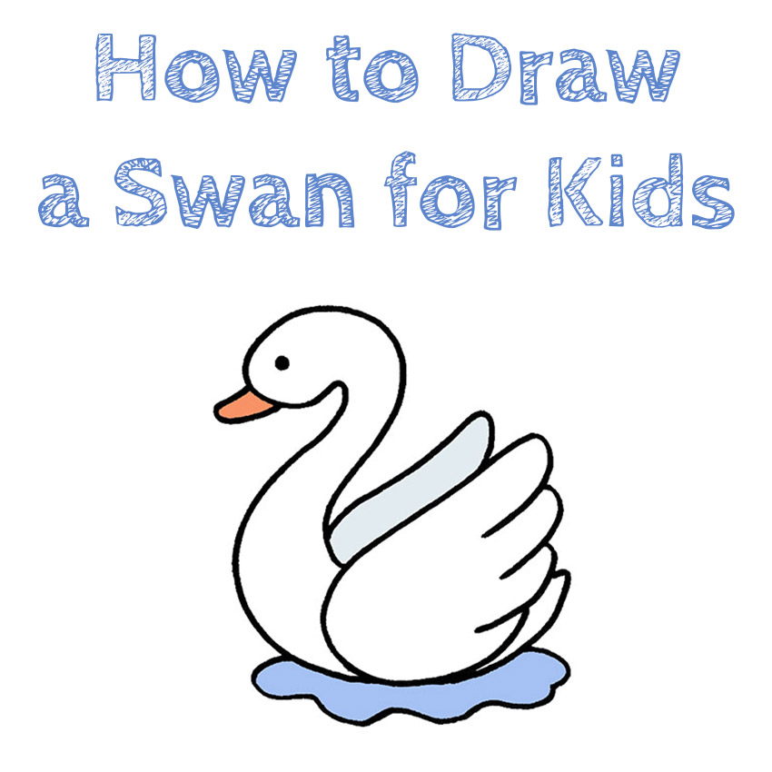 Swan Drawing Step By Step