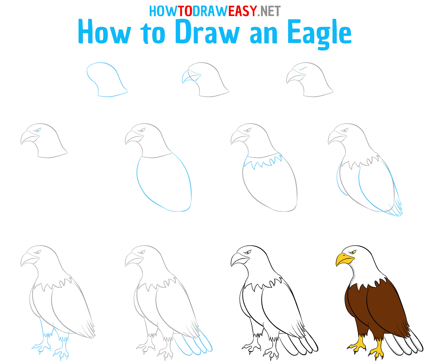 How to Draw an Easy Eagle Step by Step