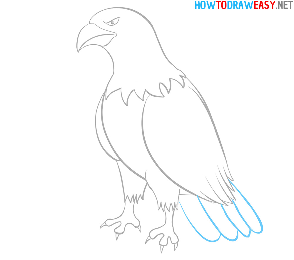 How to Draw an Easy Eagle