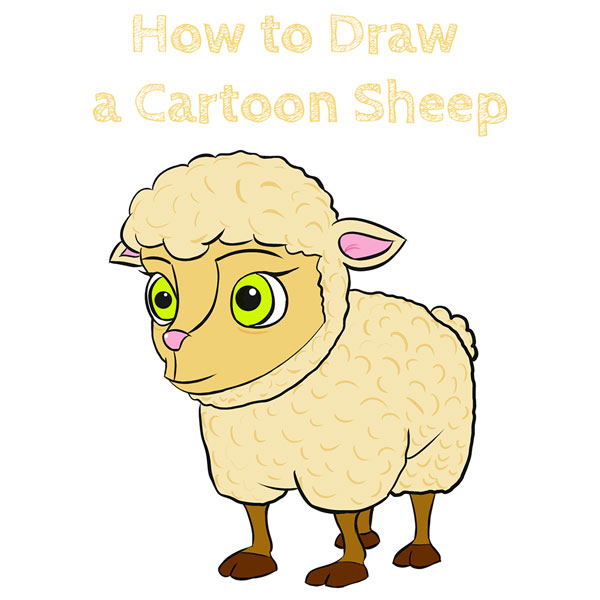How to Draw a Cartoon Sheep