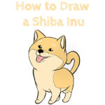 How to Draw a Shiba Inu