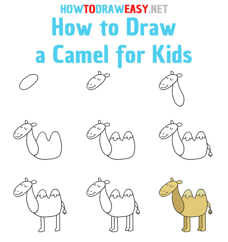 How to Draw a Camel for Kids How to Draw Easy
