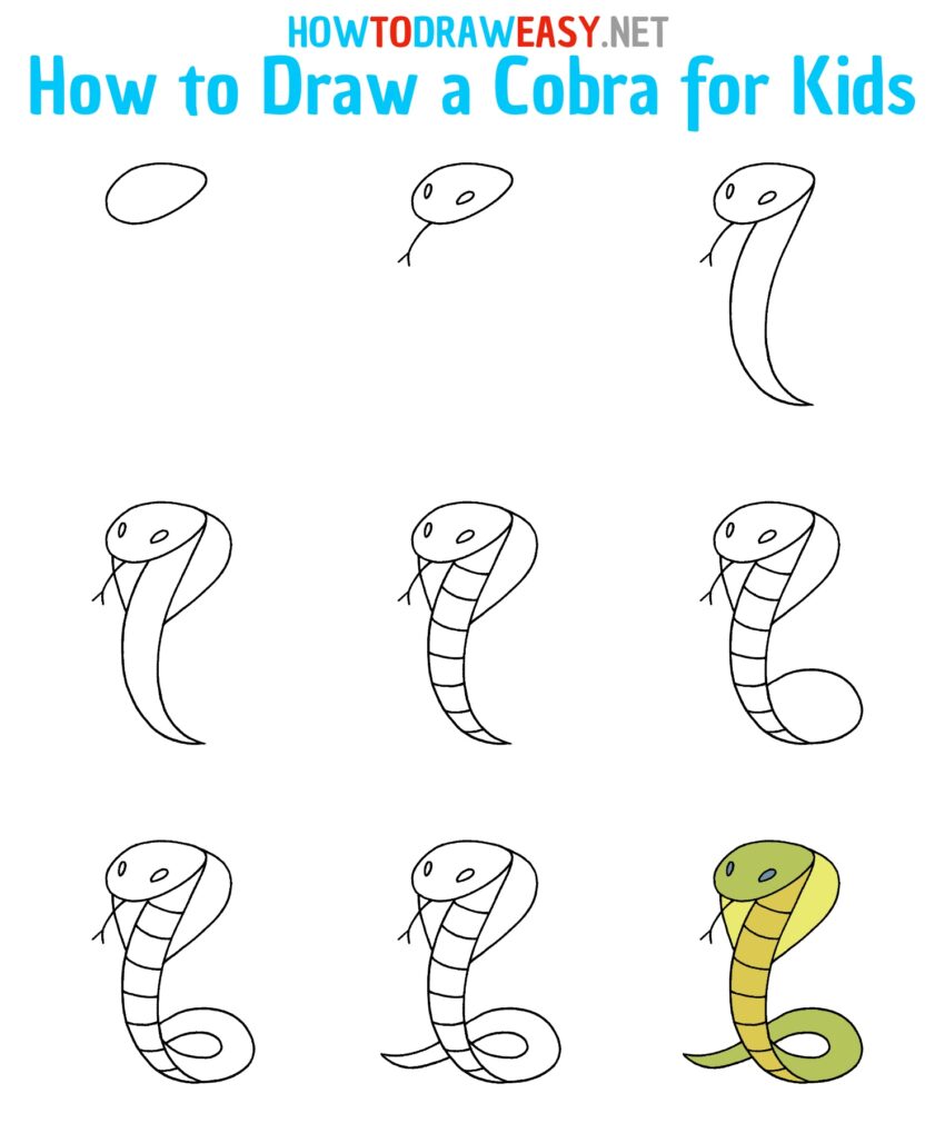 How To Draw A Cobra Easy Step By Step Drawing Guides vrogue.co