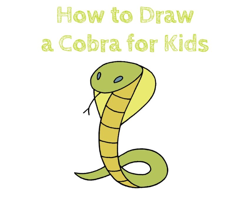How to Draw a Cobra for Kids How to Draw Easy
