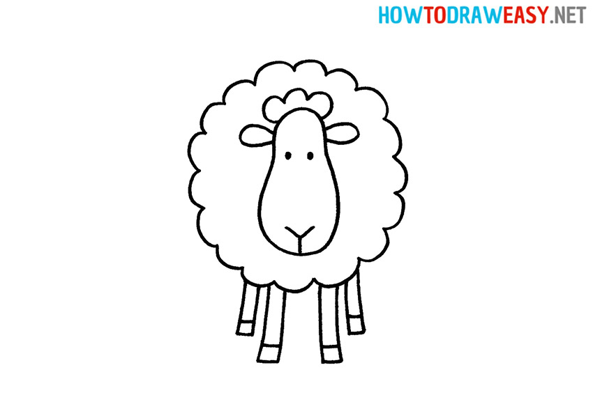 How to Draw a Easy Sheep