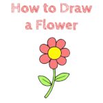 How to Draw a Flower for Kids