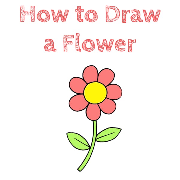 How to Draw a Flower for Kids