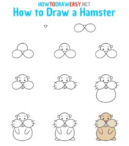 How to Draw a Hamster for Kids - How to Draw Easy