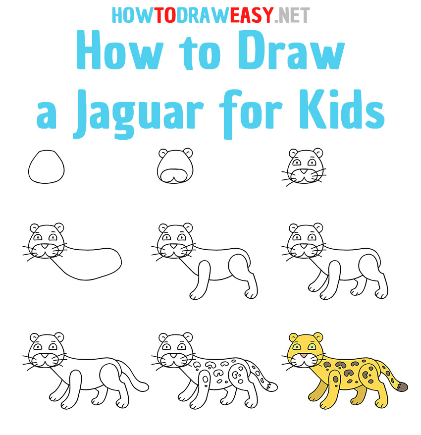 How to Draw a Jaguar Step by Step