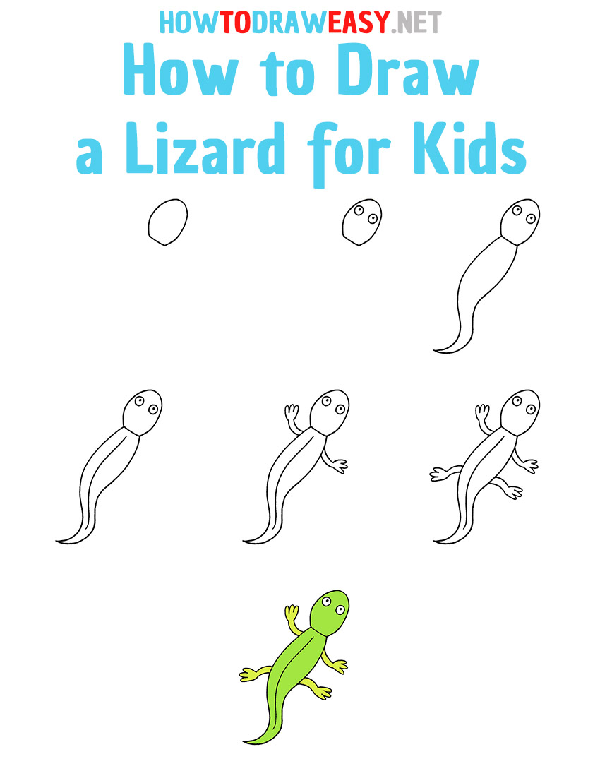 How to Draw a Lizard Step by Step