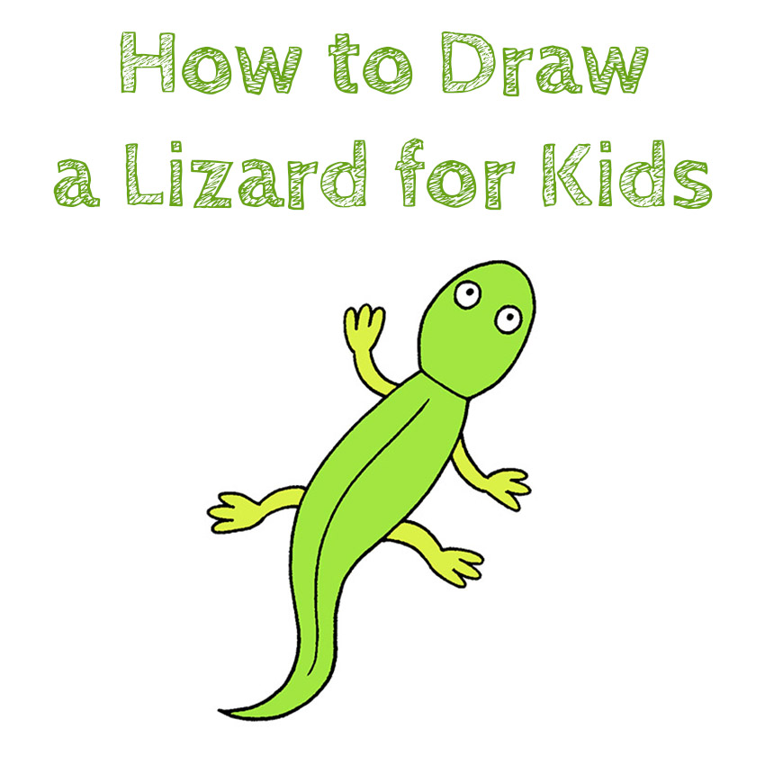 How to Draw a Lizard for Kids How to Draw Easy