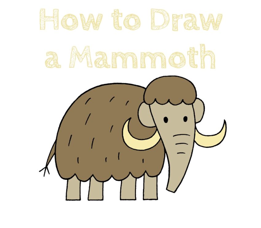 How to Draw a Mammoth for Kids How to Draw Easy