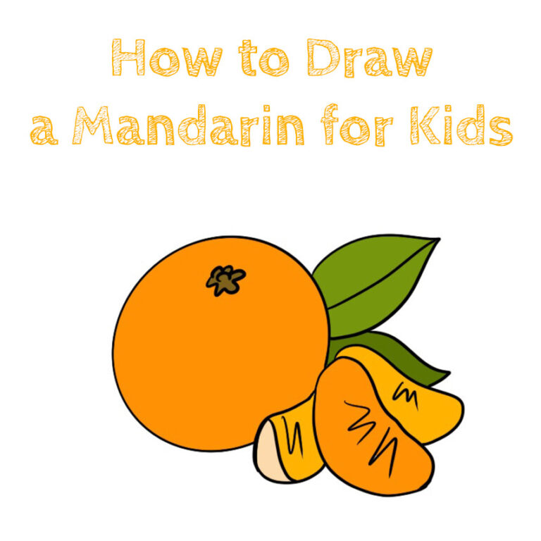 How to Draw a Mandarin for Kids - How to Draw Easy