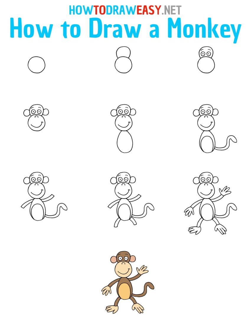 How to Draw a Monkey for Kids How to Draw Easy