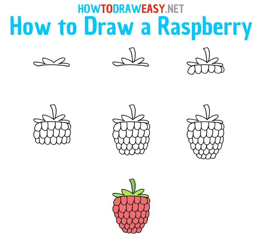 How to Draw a Raspberry for Kids How to Draw Easy