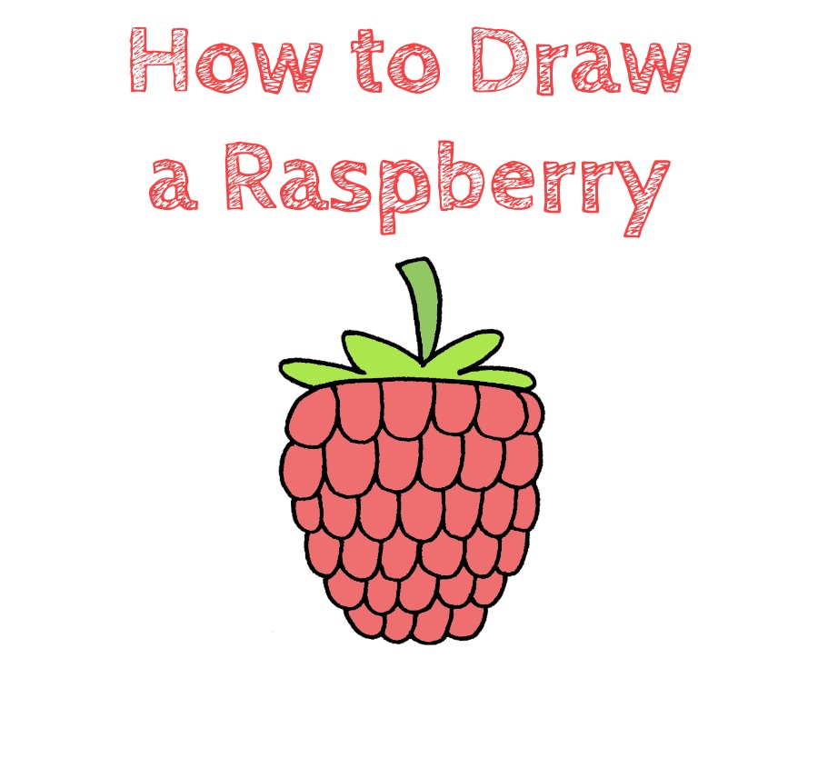 How to Draw a Raspberry for Kids