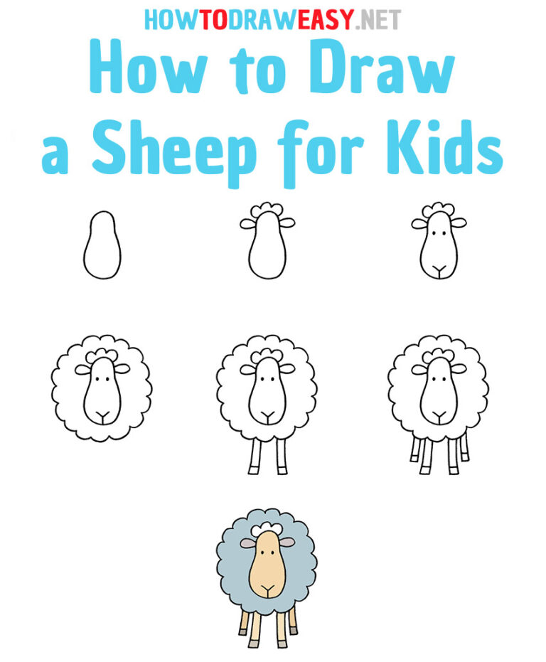 How to Draw a Sheep for Kids How to Draw Easy