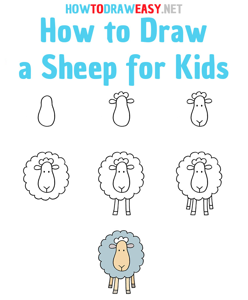 How to Draw a Sheep Step by Step
