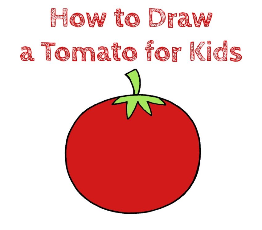 How to Draw a Tomato for Kids How to Draw Easy