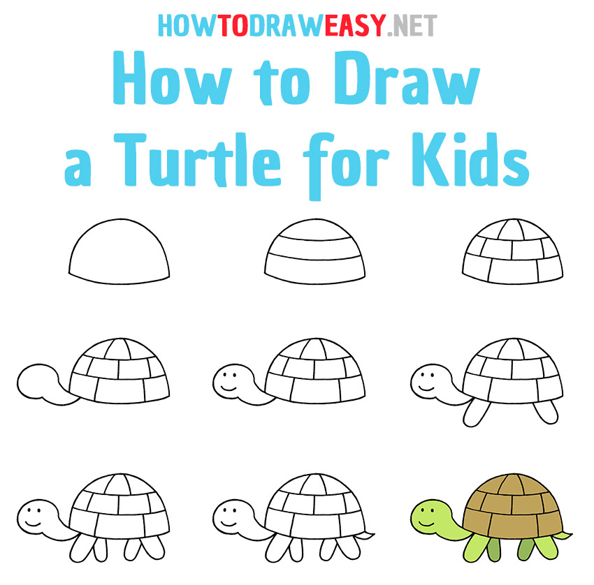 How to Draw a Turtle for Kids - How to Draw Easy