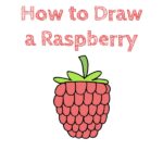 How to Draw a Raspberry for Kids