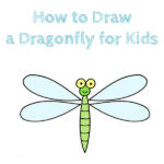 How to Draw a Dragonfly for Kids