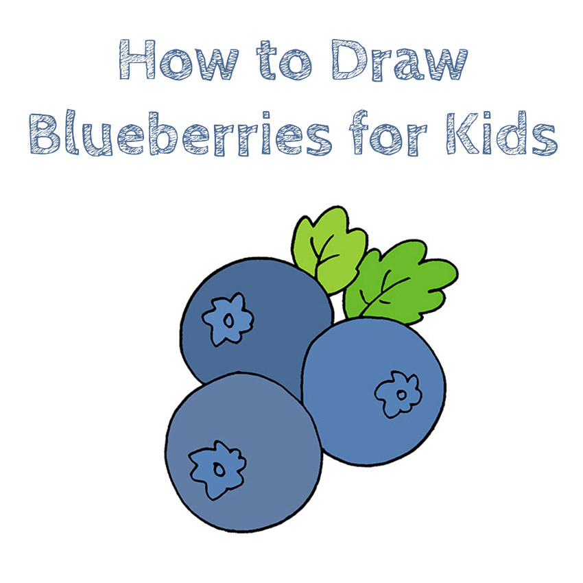 How to Draw Blueberries for Kids