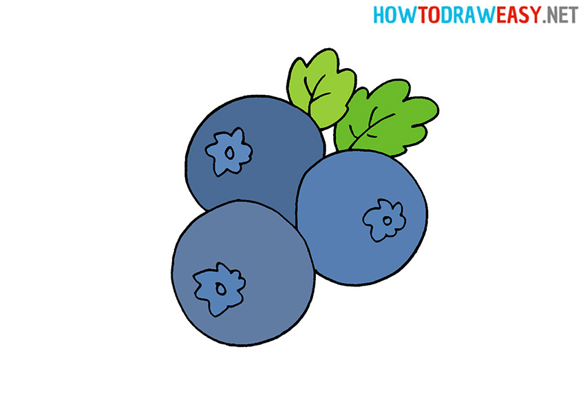 How to Draw Blueberries