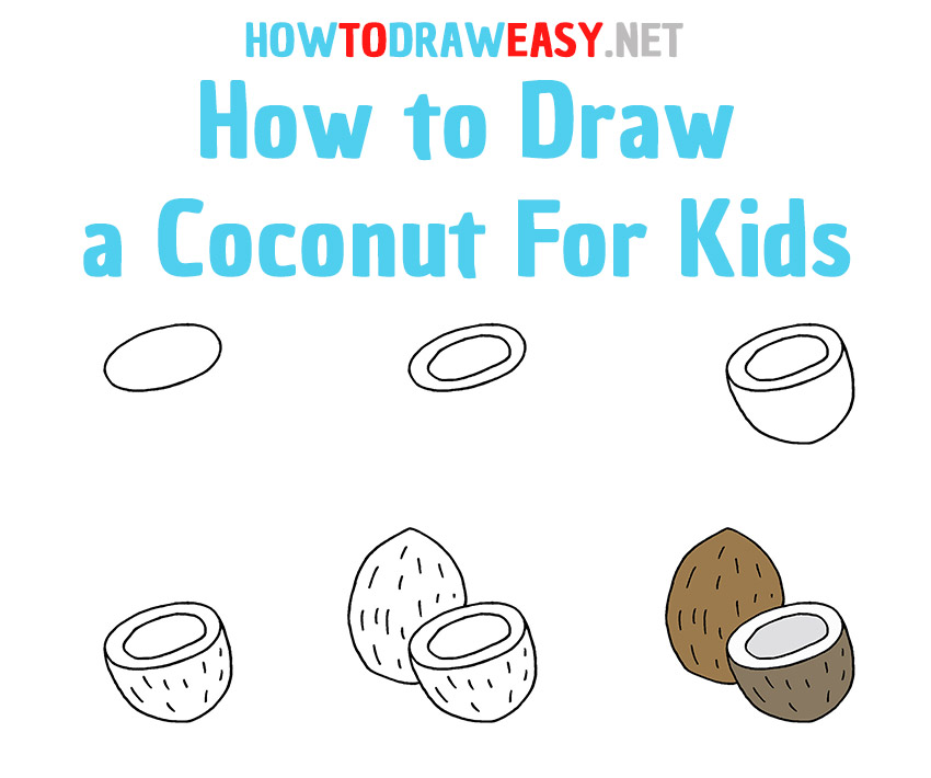 How to Draw a Coconut Step by Step