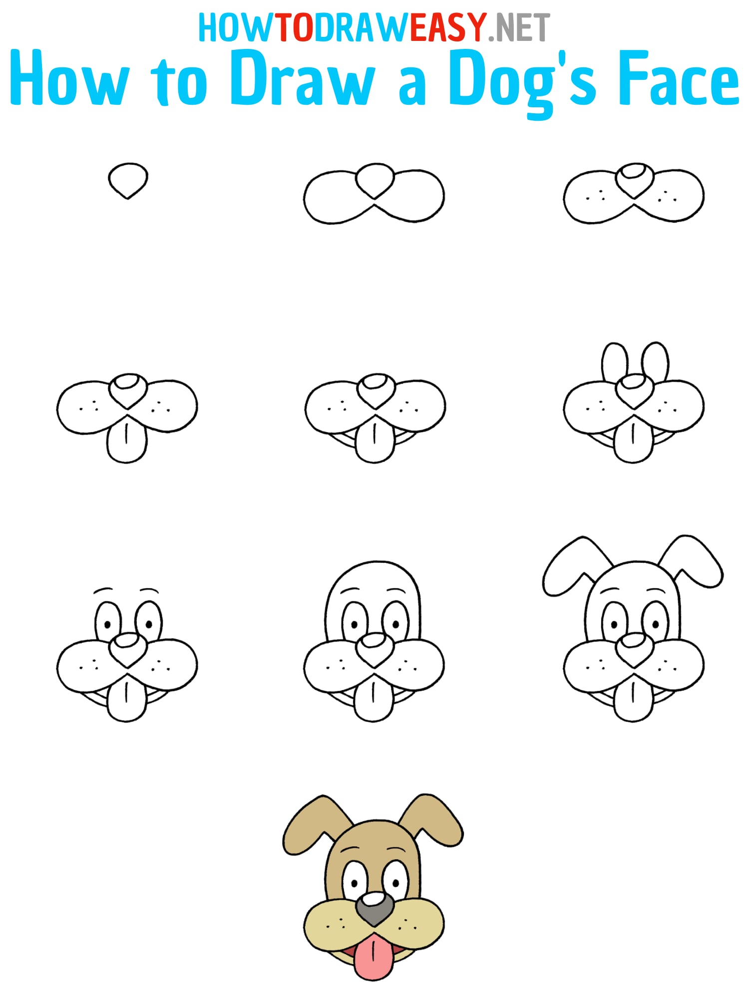 How to Draw a Dog Face Step by Step