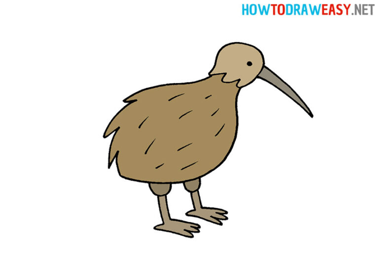 How to Draw a Kiwi Bird for Kids How to Draw Easy