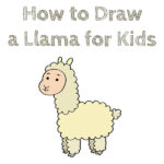 How to Draw a Llama for Kids