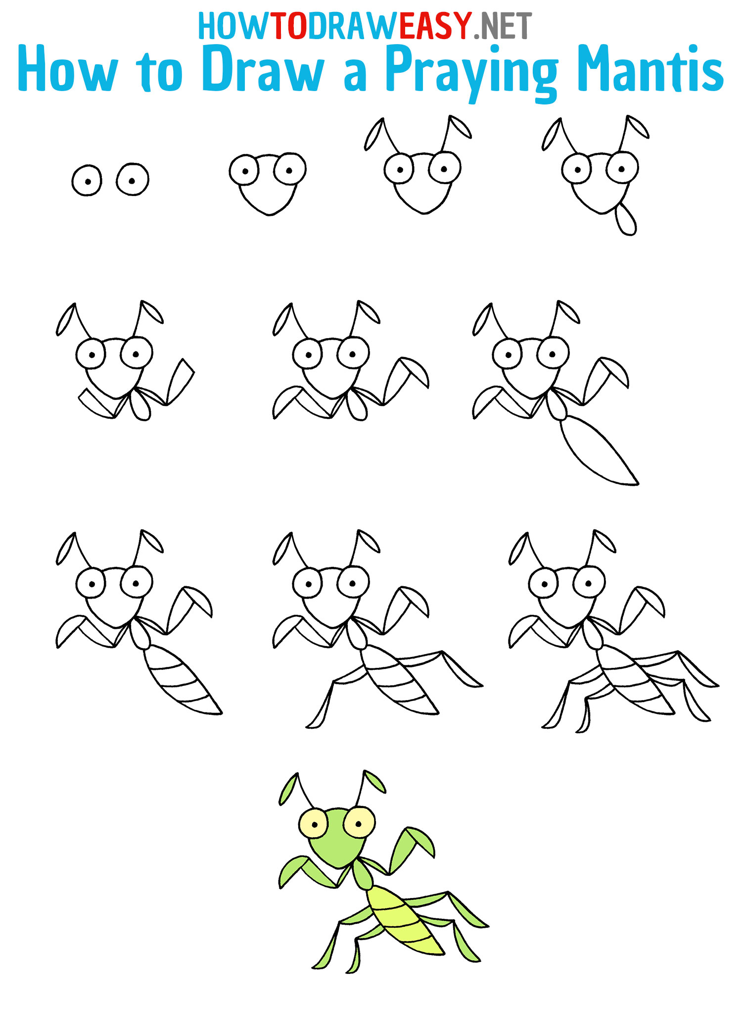 How to Draw a Praying Mantis Step by Step